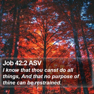 Job 42:2 ASV Bible Verse Image