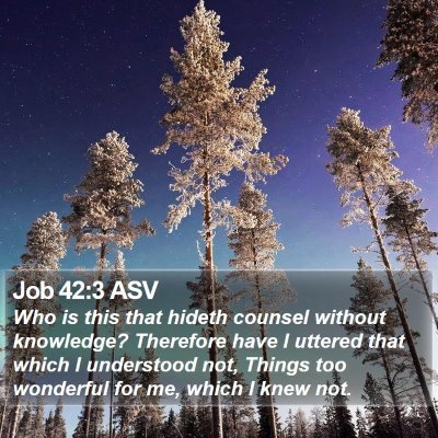 Job 42:3 ASV Bible Verse Image