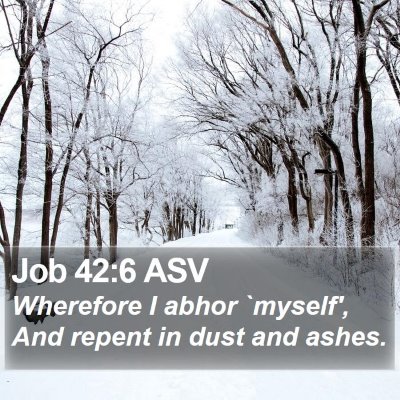 Job 42:6 ASV Bible Verse Image
