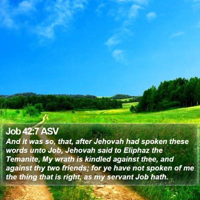 Job 42:7 ASV Bible Verse Image