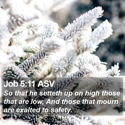 Job 5:11 ASV Bible Verse Image