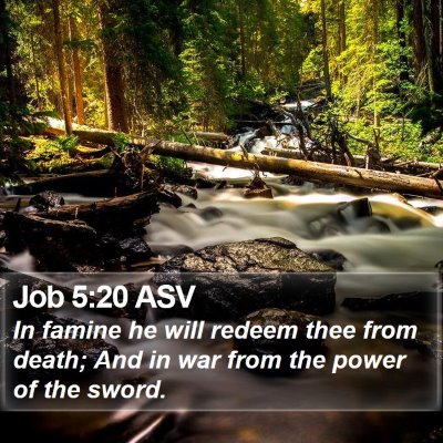 Job 5:20 ASV Bible Verse Image