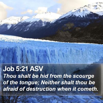 Job 5:21 ASV Bible Verse Image