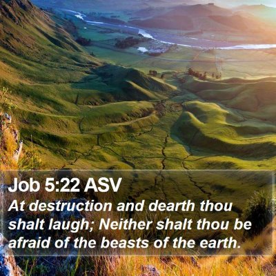 Job 5:22 ASV Bible Verse Image