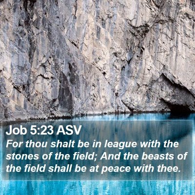 Job 5:23 ASV Bible Verse Image