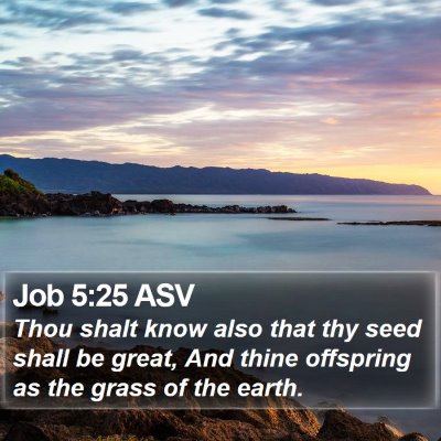 Job 5:25 ASV Bible Verse Image