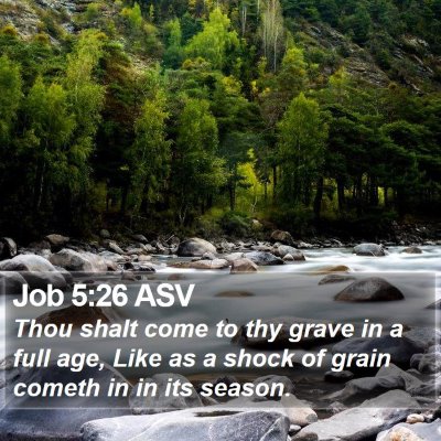 Job 5:26 ASV Bible Verse Image