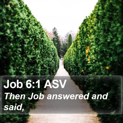Job 6:1 ASV Bible Verse Image
