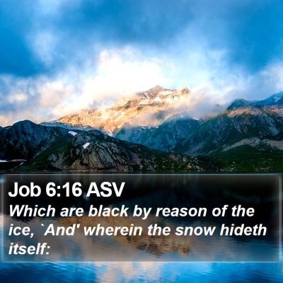 Job 6:16 ASV Bible Verse Image