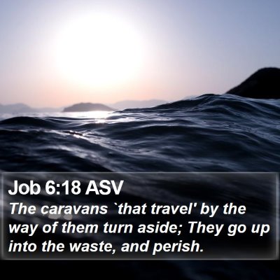 Job 6:18 ASV Bible Verse Image