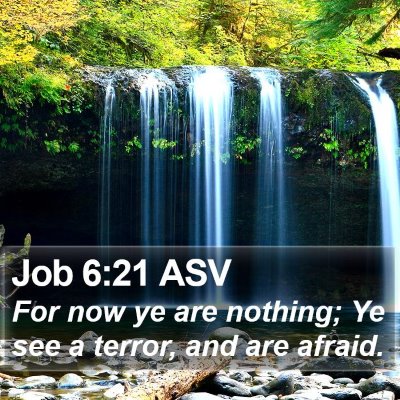 Job 6:21 ASV Bible Verse Image