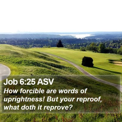 Job 6:25 ASV Bible Verse Image