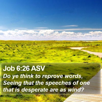 Job 6:26 ASV Bible Verse Image