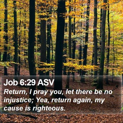 Job 6:29 ASV Bible Verse Image
