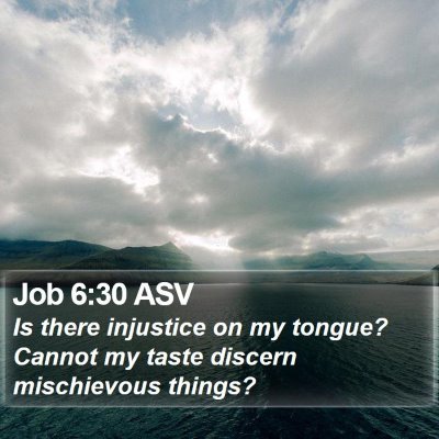 Job 6:30 ASV Bible Verse Image