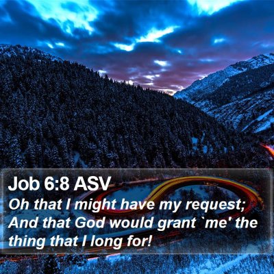 Job 6:8 ASV Bible Verse Image