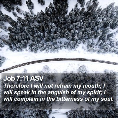 Job 7:11 ASV Bible Verse Image