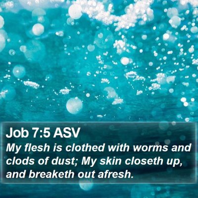Job 7:5 ASV Bible Verse Image