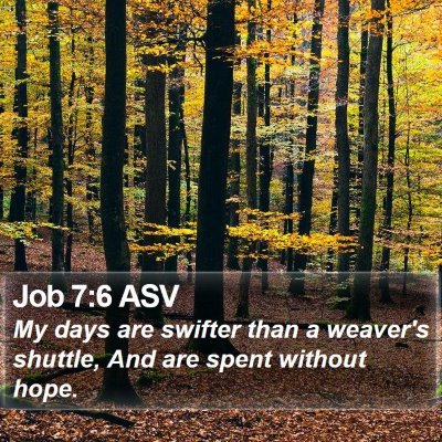 Job 7:6 ASV Bible Verse Image