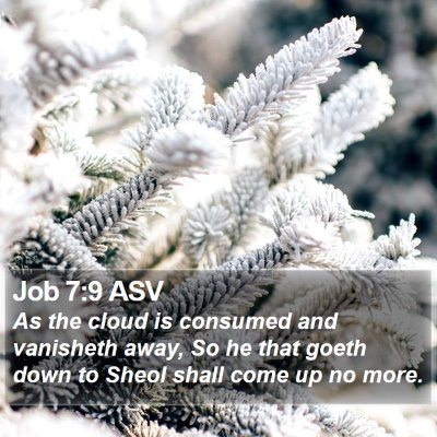 Job 7:9 ASV Bible Verse Image