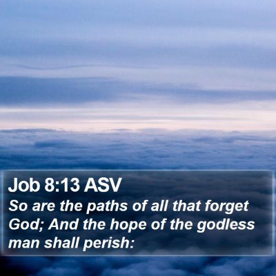 Job 8:13 ASV Bible Verse Image