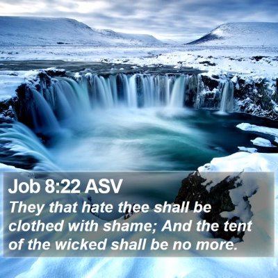 Job 8:22 ASV Bible Verse Image