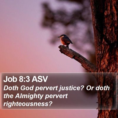 Job 8:3 ASV Bible Verse Image