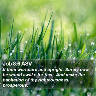 Job 8:6 ASV Bible Verse Image