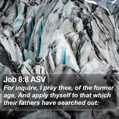 Job 8:8 ASV Bible Verse Image