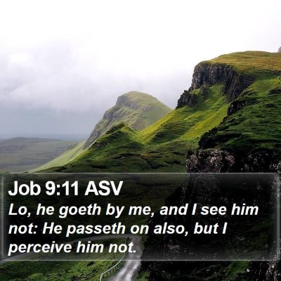 Job 9:11 ASV Bible Verse Image