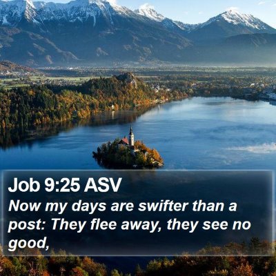 Job 9:25 ASV Bible Verse Image