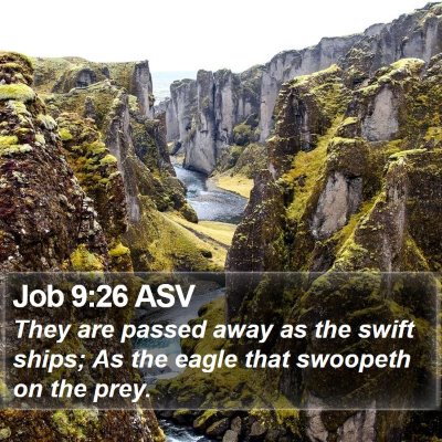 Job 9:26 ASV Bible Verse Image