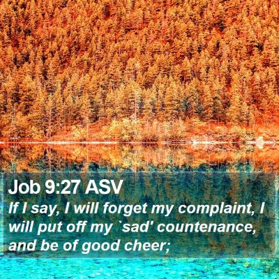 Job 9:27 ASV Bible Verse Image