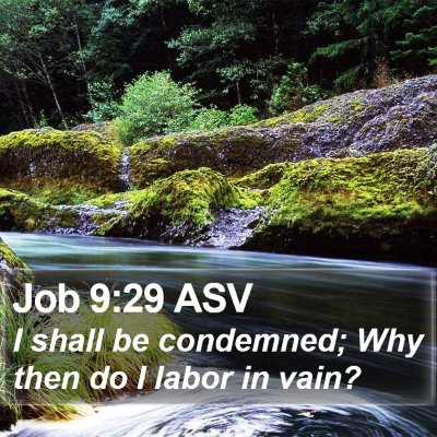 Job 9:29 ASV Bible Verse Image