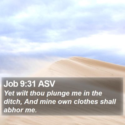 Job 9:31 ASV Bible Verse Image