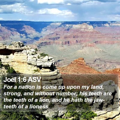 Joel 1:6 ASV Bible Verse Image