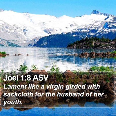 Joel 1:8 ASV Bible Verse Image