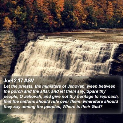 Joel 2:17 ASV Bible Verse Image