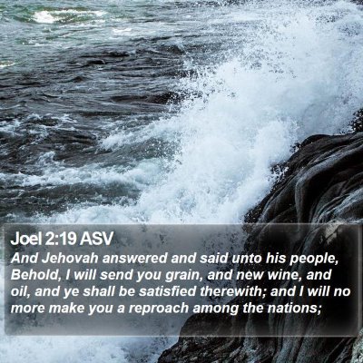 Joel 2:19 ASV Bible Verse Image