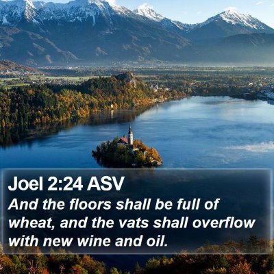 Joel 2:24 ASV Bible Verse Image