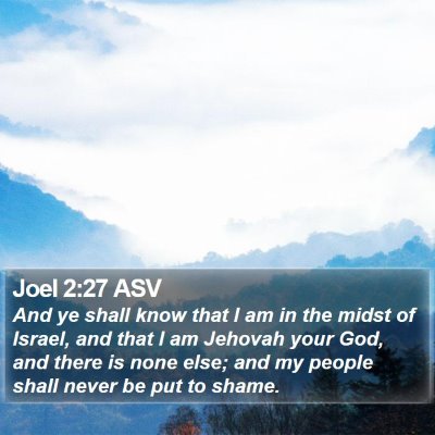 Joel 2:27 ASV Bible Verse Image