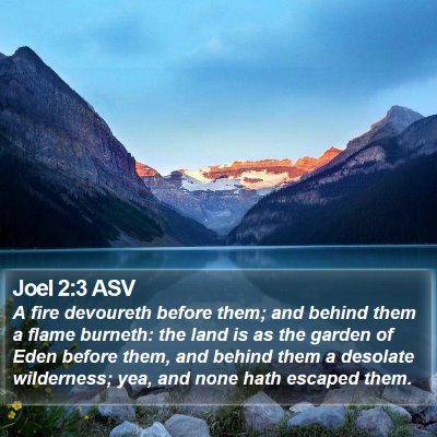 Joel 2:3 ASV Bible Verse Image
