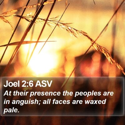 Joel 2:6 ASV Bible Verse Image