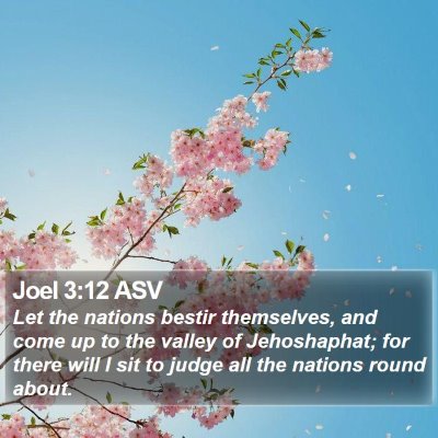 Joel 3:12 ASV Bible Verse Image