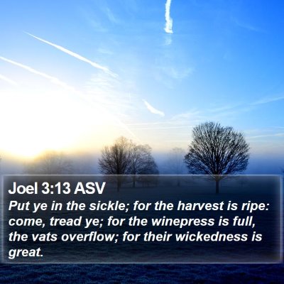 Joel 3:13 ASV Bible Verse Image