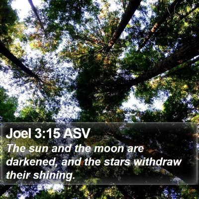 Joel 3:15 ASV Bible Verse Image