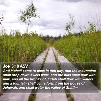 Joel 3:18 ASV Bible Verse Image