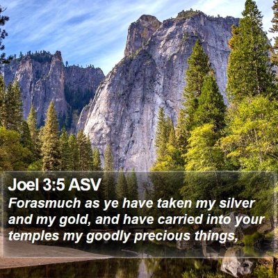 Joel 3:5 ASV Bible Verse Image