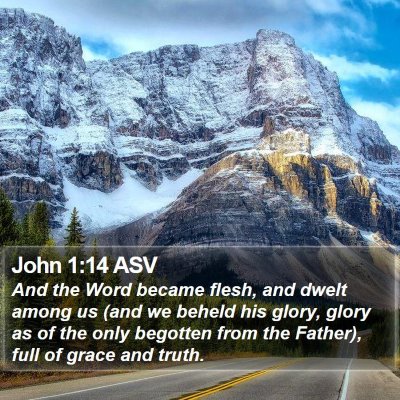John 1:14 ASV Bible Verse Image