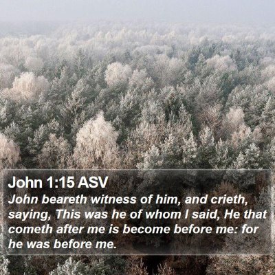 John 1:15 ASV Bible Verse Image